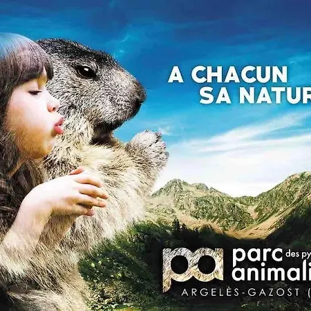 Maison Familiale Au Coeur Des Pyrenees ! Casa de Férias *